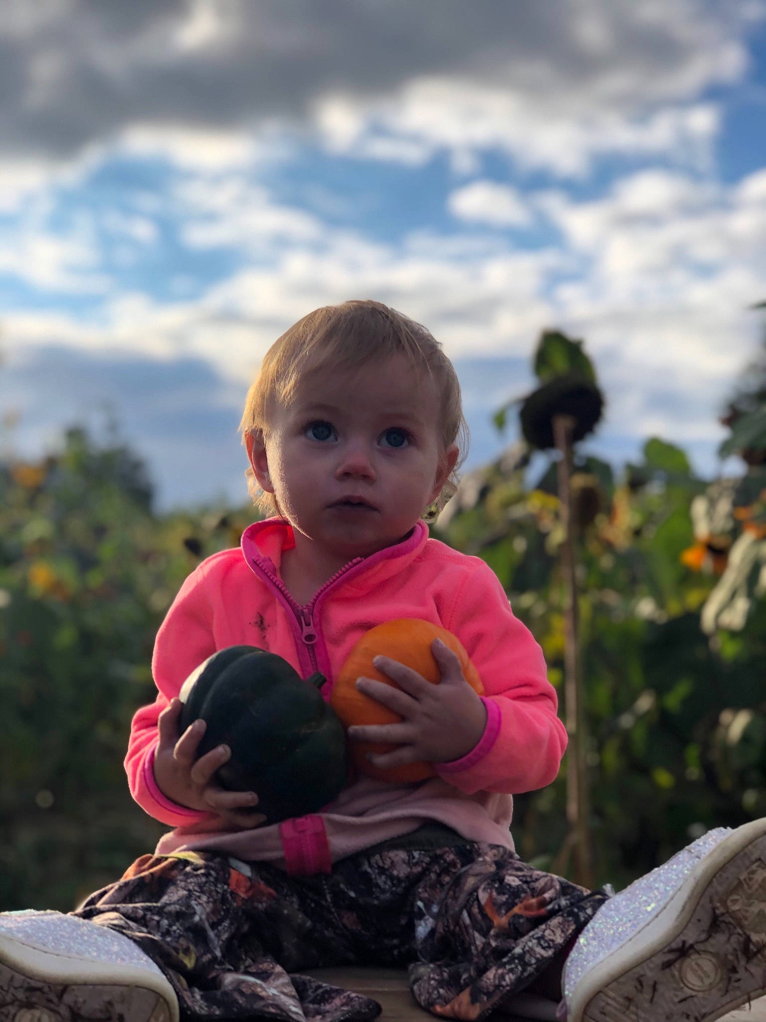 Wynonna is registered to the contest to win money with this photo: adaptation, child, grass, happy, leaf, person, plant, sitting, sky, smile, surprise, toddler, tree, vacation