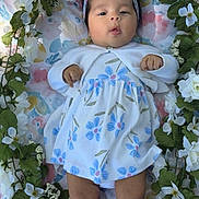 Jaqueline Valentine is registered to the contest to win money with this photo: baby, infant, floral_blanket, white_flowers, green_leaves, headband, dress, cardigan, socks, lying_down, cute, peaceful, portrait, outdoor, nature, young_child, skin, face, hands, legs