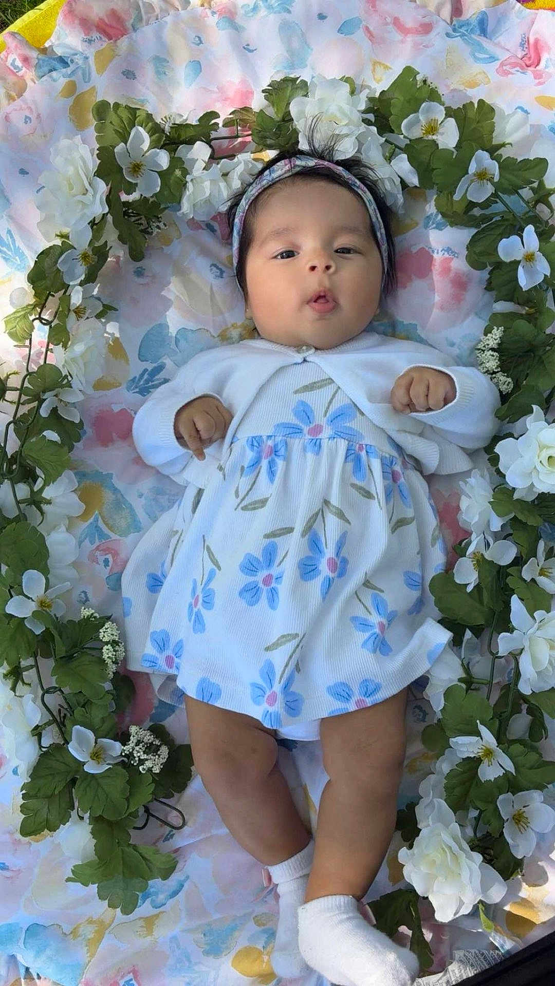 Jaqueline Valentine is registered to the contest to win money with this photo: baby, infant, floral_blanket, white_flowers, green_leaves, headband, dress, cardigan, socks, lying_down, cute, peaceful, portrait, outdoor, nature, young_child, skin, face, hands, legs