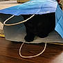 black_cat, cat, shopping_bag, wooden_floor, indoor, pet, animal, hiding, peeking, living_room, carpet, sofa, decor, window, daylight, flooring, cute, curious, domestic_cat, feline