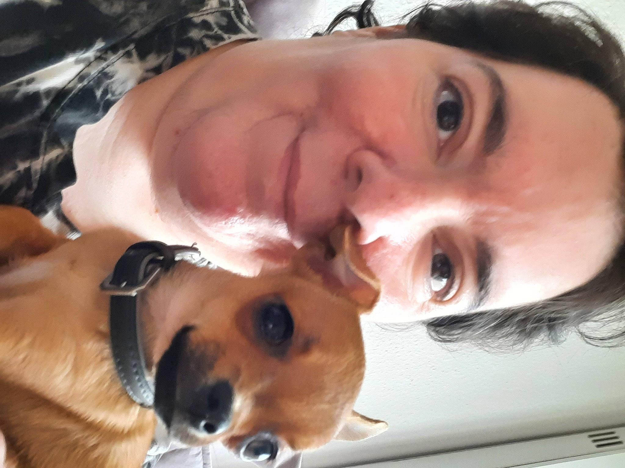 Flash a rejoint le concours — aidez-le/la à gagner de superbes lots ! carnivore, cheek, dog, dog_breed, ear, eye, eyebrow, eyelash, eyewear, fawn, iris, jaw, mammal, mouth, nose, selfie, skin, smile, sunglasses, vertebrate