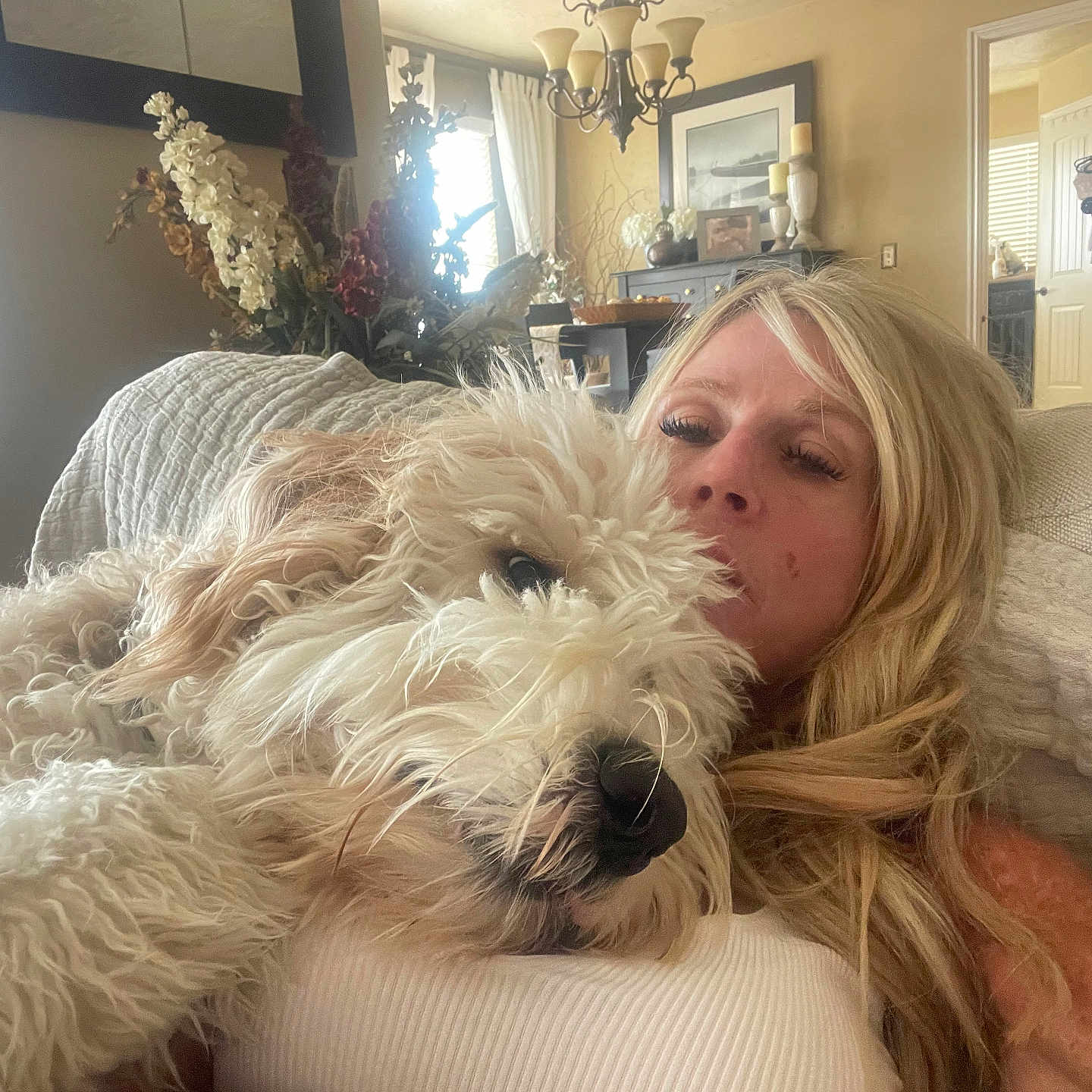 Winston is registered to the contest to win money with this photo: adult, animal, architecture, building, canine, couch, dog, face, female, furniture, head, indoors, livingroom, person, pet, photography, portrait, puppy, room, woman