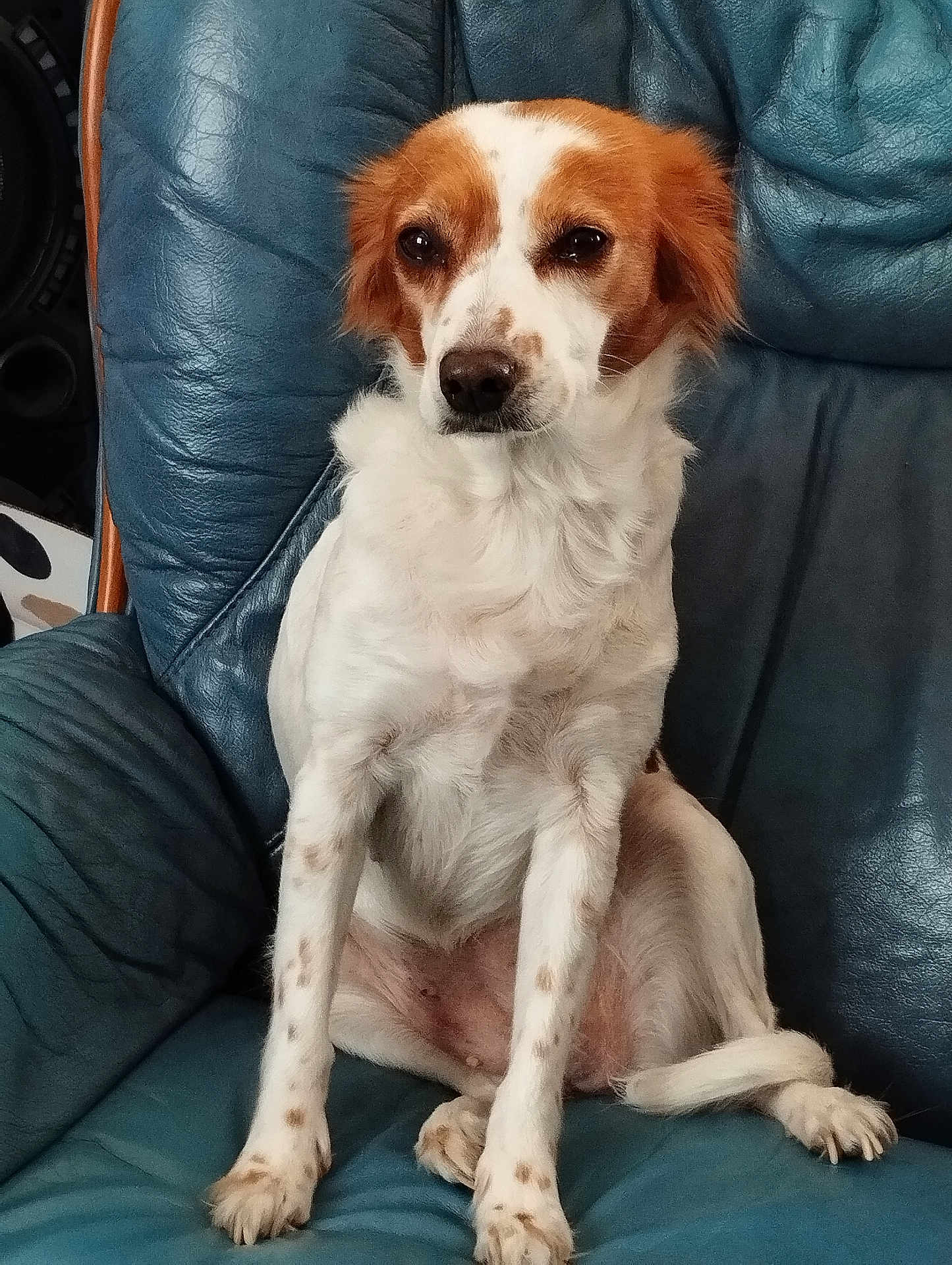 Tina