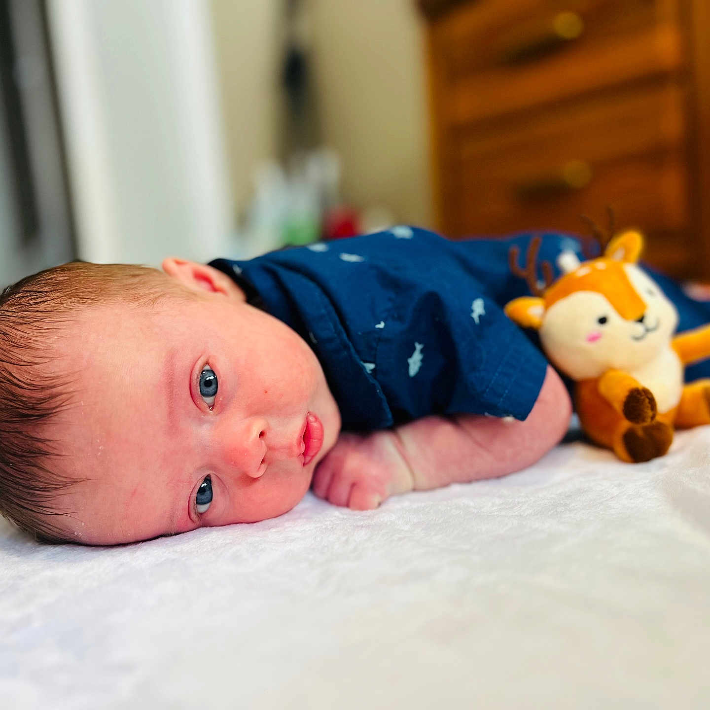 Wyatt is registered to the contest to win money with this photo: baby, bed, blanket, bodypart, couch, cushion, face, finger, furniture, hand, happy, head, homedecor, indoors, newborn, person, photography, portrait, smile, toy
