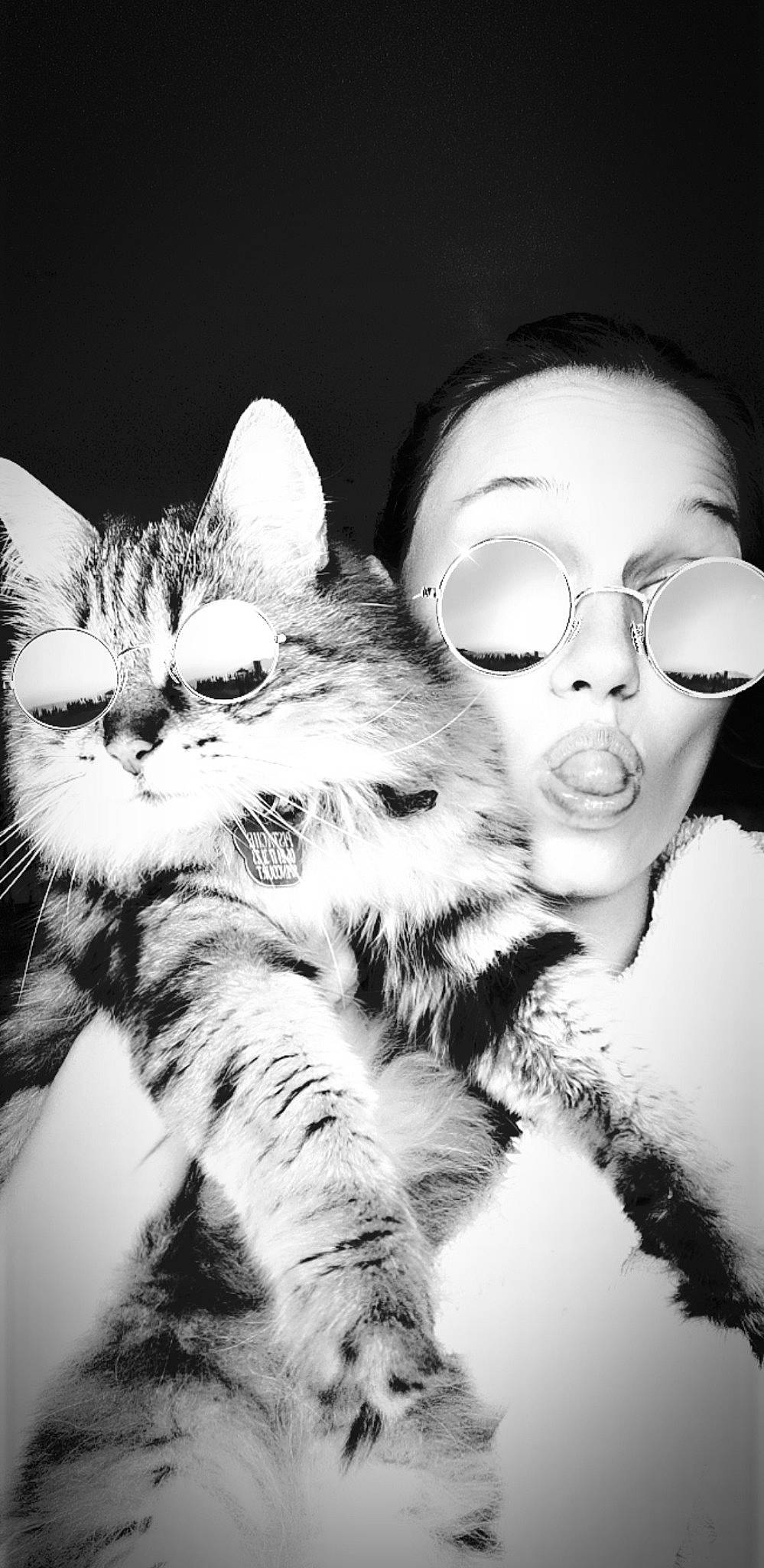 Pistache participe au concours pour gagner de l'argent avec cette photo : beauty, black, black_and_white, carnivore, cat, eye, eyewear, felidae, fur, glasses, kitten, monochrome, monochrome_photography, nose, organ, photography, siberian, small_to_medium_sized_cats, whiskers, white