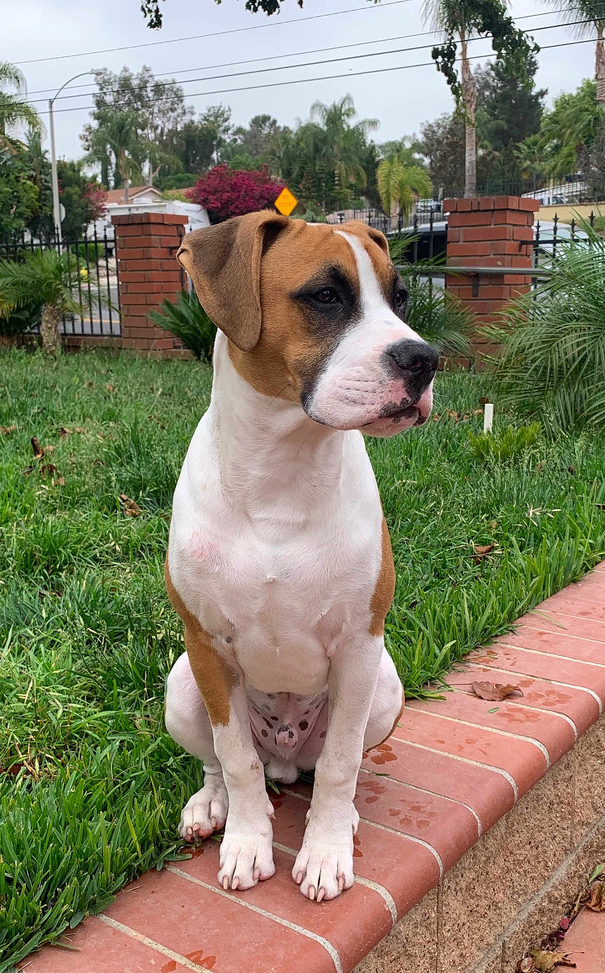 Emmitt