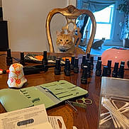 Stanley joined the competition — help win amazing prizes! cat, orange_cat, chair, table, nail_polish, manicure_tools, indoor, window, curtains, plant, clutter, wooden_furniture, domestic, pet, orange_tabby, household, relaxing_cat, background_cat, natural_light, decor