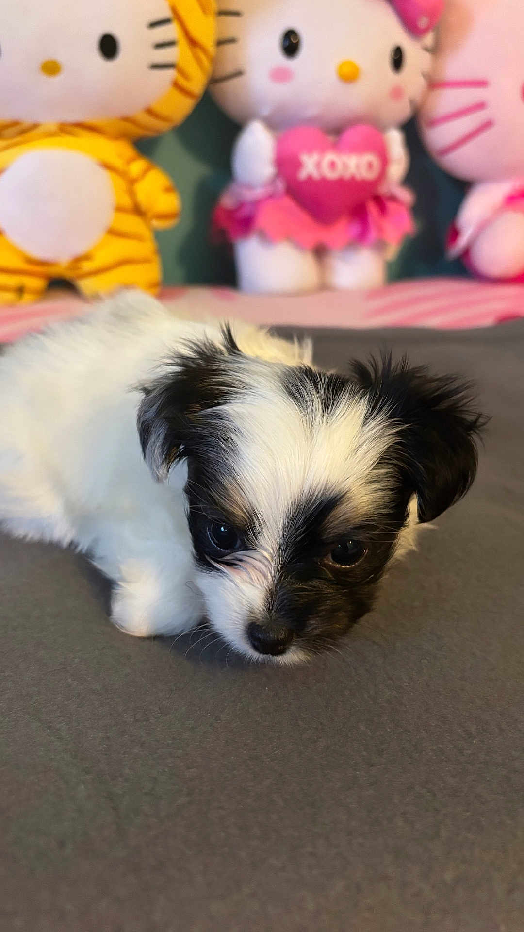 Pepper
