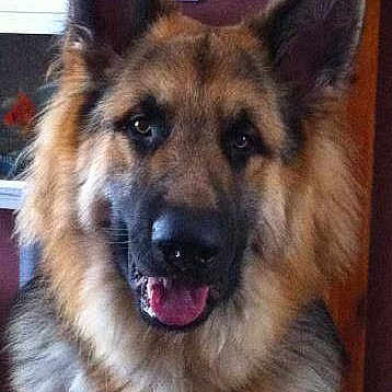 Frankie joined the competition — help win amazing prizes!