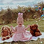 Bonnie Boo joined the competition — help win amazing prizes! baby, child, pink_dress, crown, half_birthday, bubbles, stuffed_dog, stuffed_bear, blanket, grass, outdoor, sunny, happy, smiling, sitting, toy, celebration, nature, daylight, cute