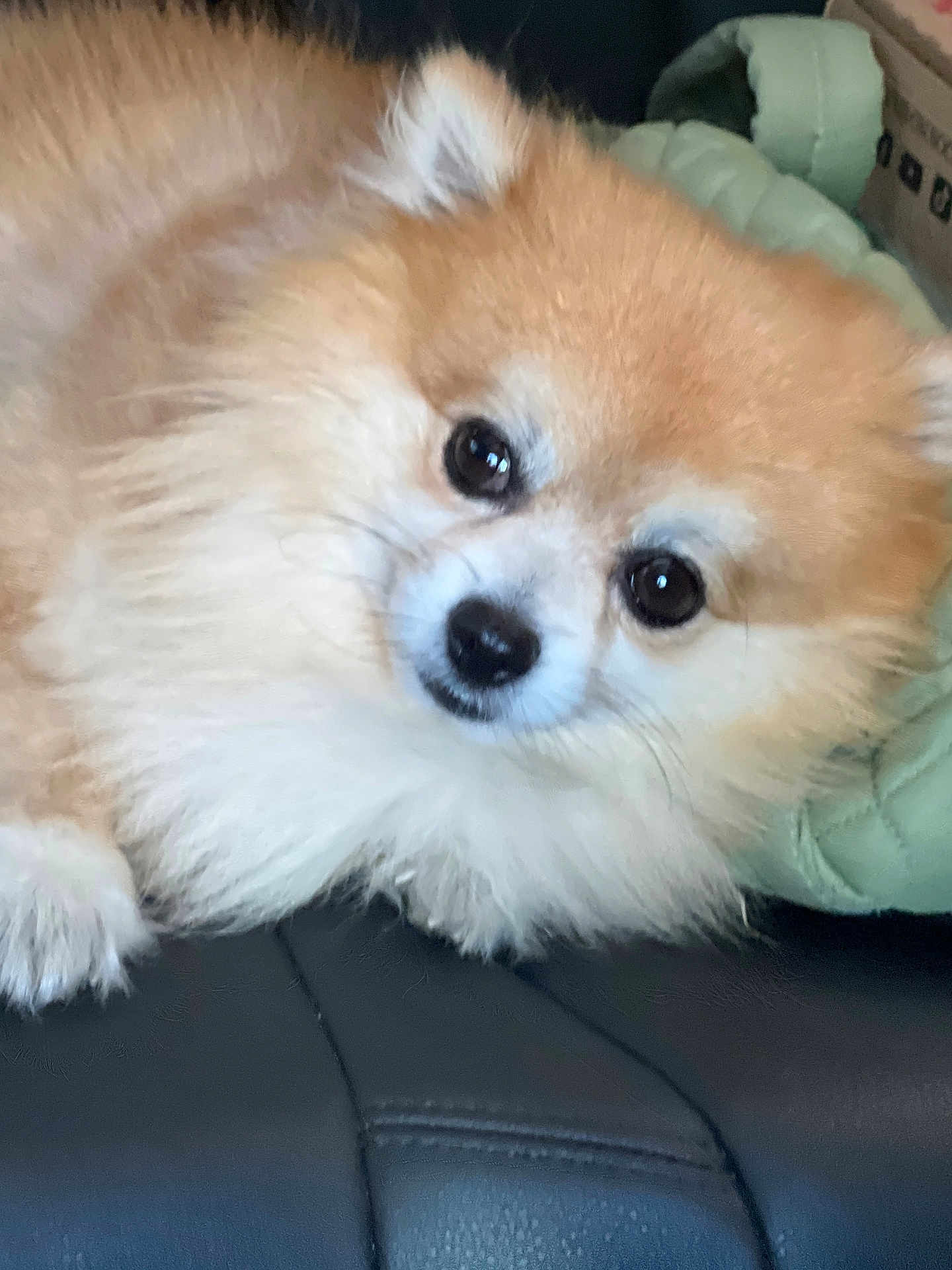 Manny