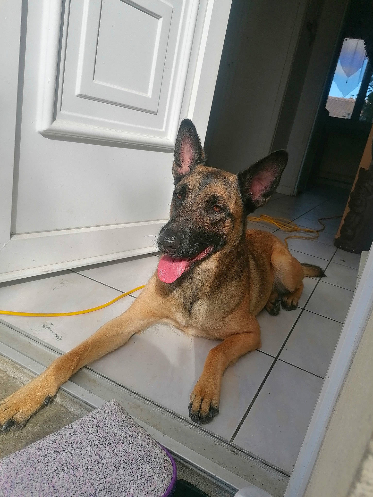 Stela