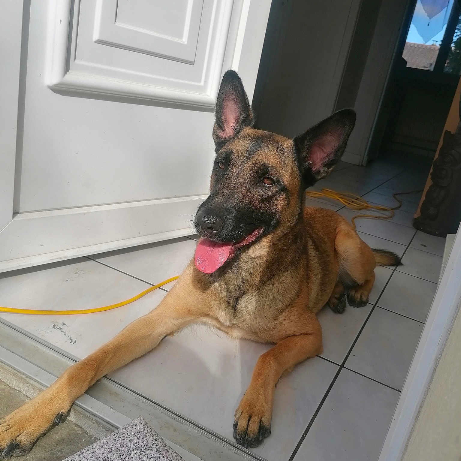 Stela