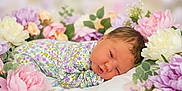 Astrid joined the competition — help win amazing prizes! baby, close_up, cute, delicate, floral_background, flower_bed, fresh, greenery, infant, laying_down, nature, newborn, pastel_colors, peaceful, petals, portrait, sleeping, soft_fabric, soft_light, spring