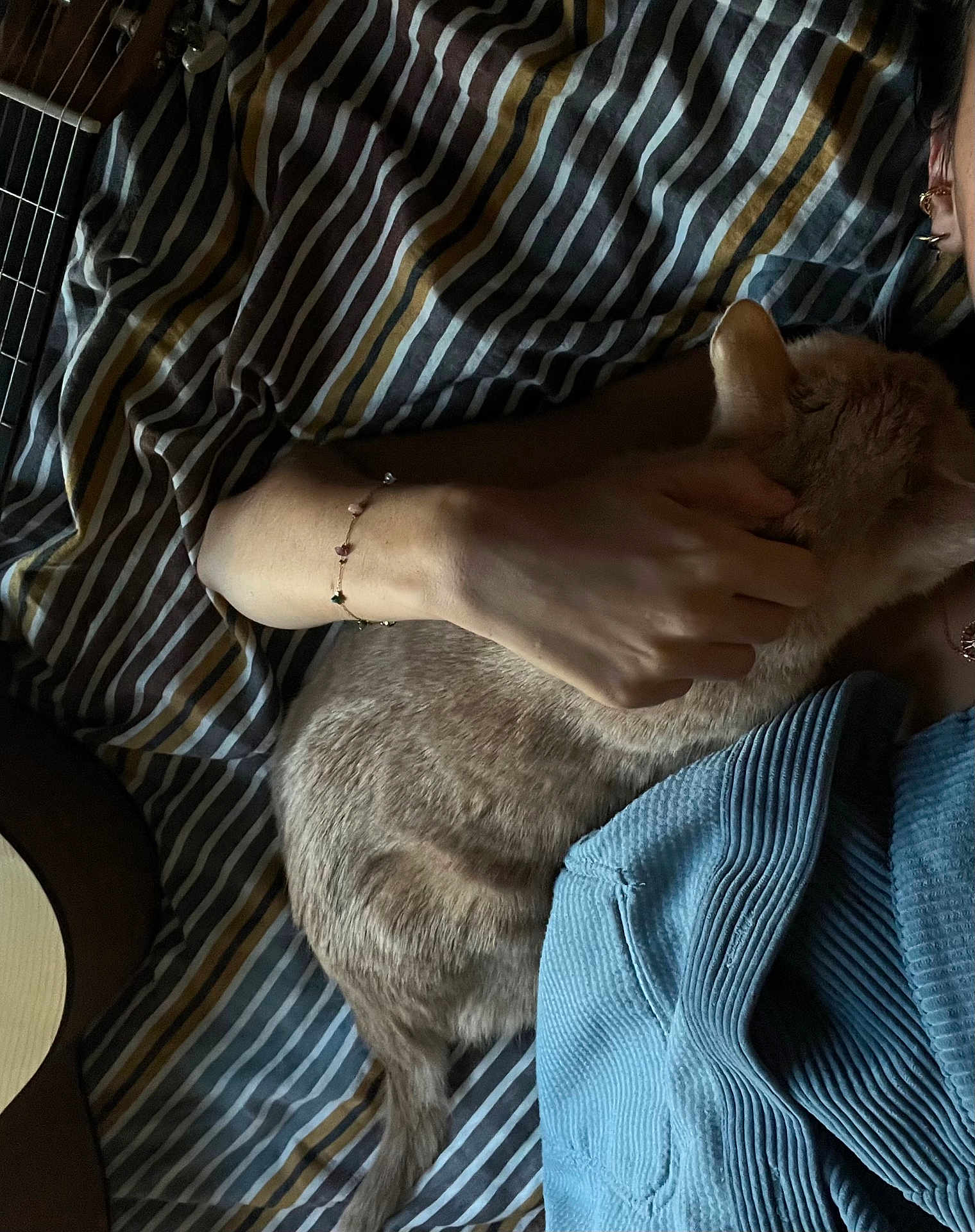 Mune participe au concours pour gagner de l'argent avec cette photo : cat, person, hand, bed, striped_bedspread, guitar, bracelet, blue_clothing, earrings, furniture, relaxation, indoor, petting, comfort, animal, tail, fur, casual, resting, cozy