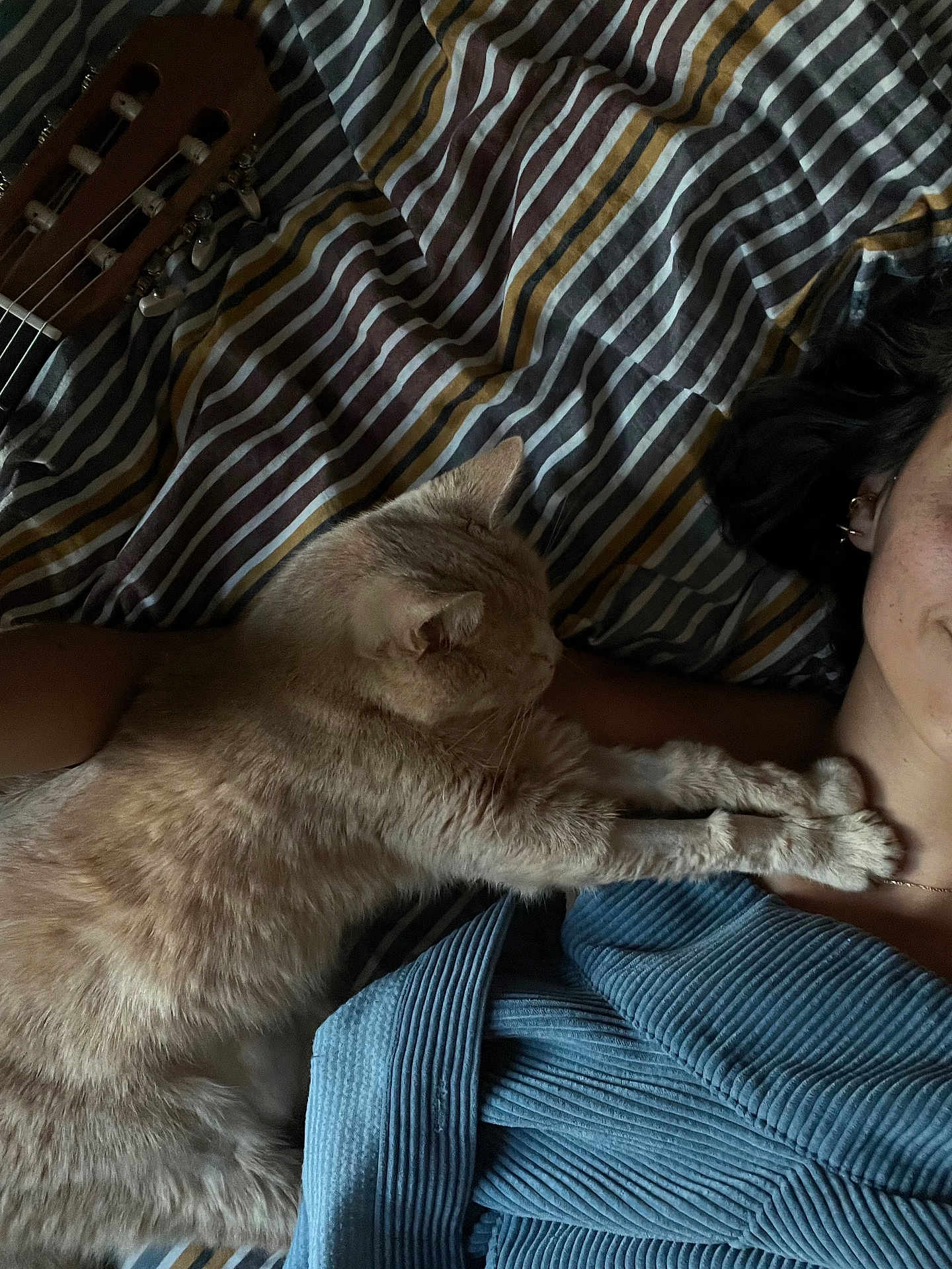 Juniiie participe au concours pour gagner de l'argent avec cette photo : cat, person, bed, striped_bedspread, guitar, sleeping, paws, fur, blue_clothing, earrings, necklace, indoor, cozy, relaxation, pet, animal, resting, furniture, human_face, casual