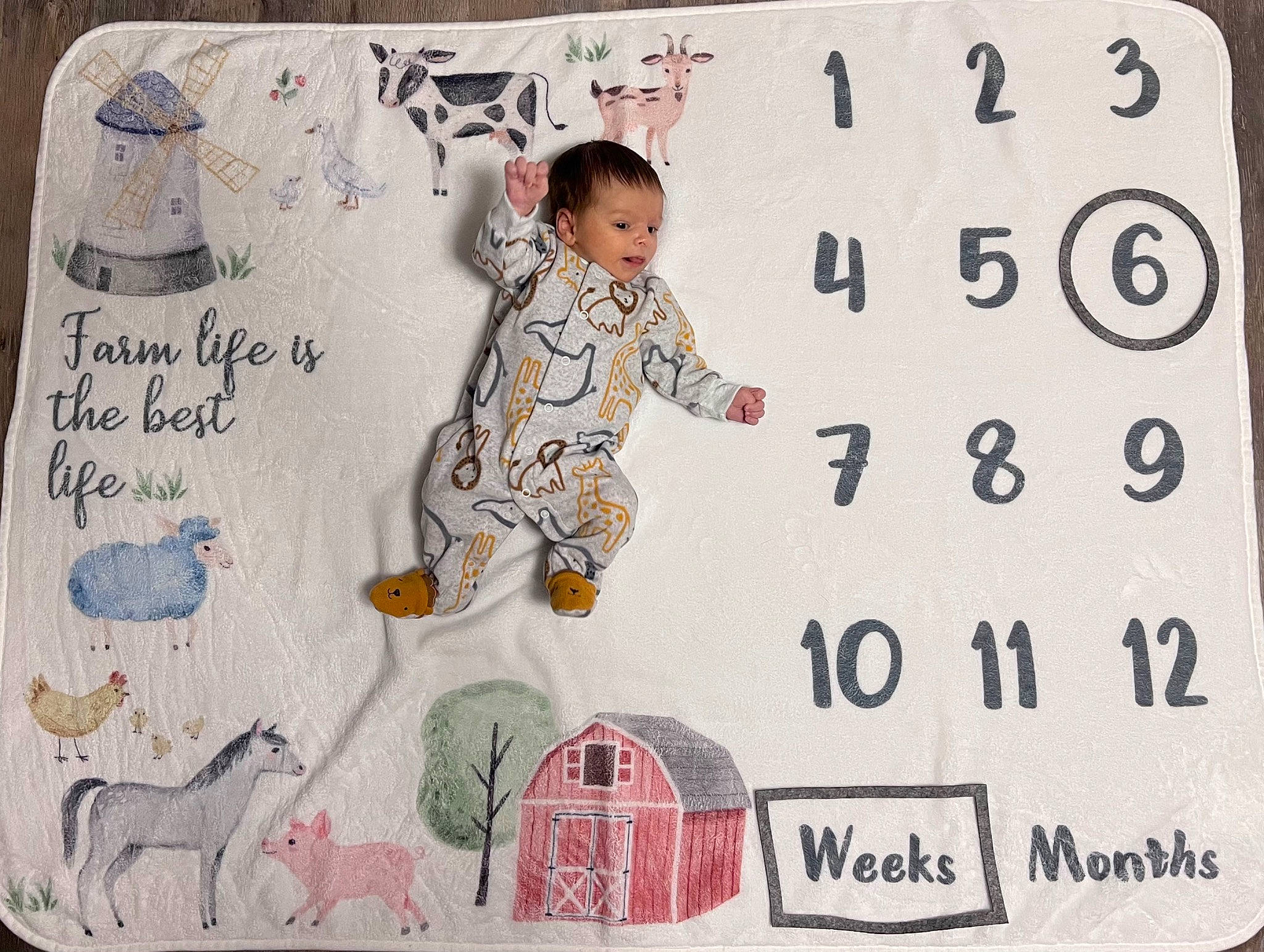Jaxton joined the competition — help win amazing prizes! art, baby, baby_toddler_clothing, child, font, happy, pattern, person, product, rectangle, room, sleeve, t_shirt, textile, toddler, white