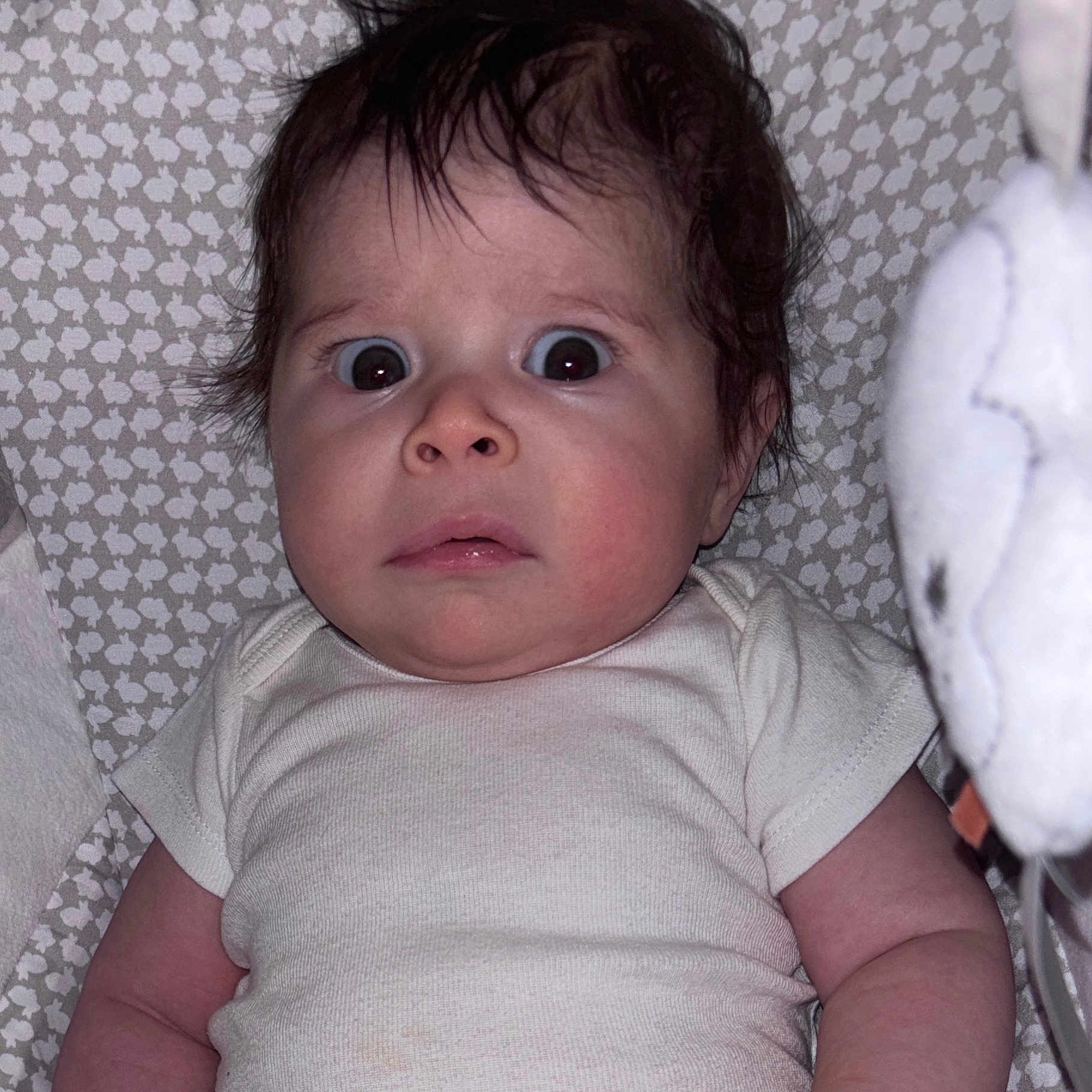 Karmyn joined the competition — help win amazing prizes! baby, blanket, child, close_up, clothing, cute, expression, face, head, indoors, infant, lying_down, onesie, patterned_blanket, person, skin, soft_toy, surprised_expression, wide_eyes, young