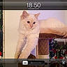 Shana participe au concours pour gagner de l'argent avec cette photo :