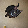 Shana participe au concours pour gagner de l'argent avec cette photo :