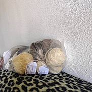 Alfonse participe au concours pour gagner de l'argent avec cette photo : cat, yarn, plastic_bag, leopard_print, blanket, curious, pet, indoor, texture, wall, playful, animal, feline, resting, closeup, domestic, cozy, soft, cute, eyes