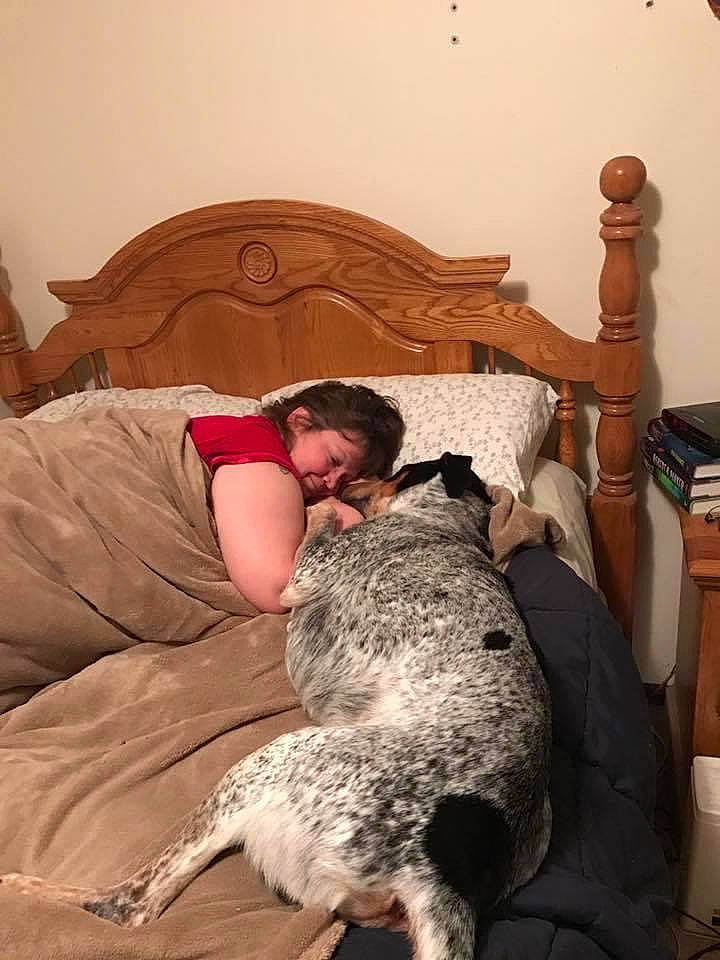 Cajun Blue is registered to the contest to win money with this photo: bed, bed_sheet, bedding, bedroom, comfort, companion_dog, couch, felidae, flooring, fur, human_leg, knee, linens, military_camouflage, pillow, room, sitting, small_to_medium_sized_cats, thigh, wood