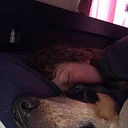 Cajun Blue is registered to the contest to win money with this photo: carnivore, cloud, comfort, companion_dog, curtain, dog, dog_breed, ear, facial_hair, felidae, flooring, fur, jaw, nap, paw, puppy_love, small_to_medium_sized_cats, snout, sporting_group, whiskers