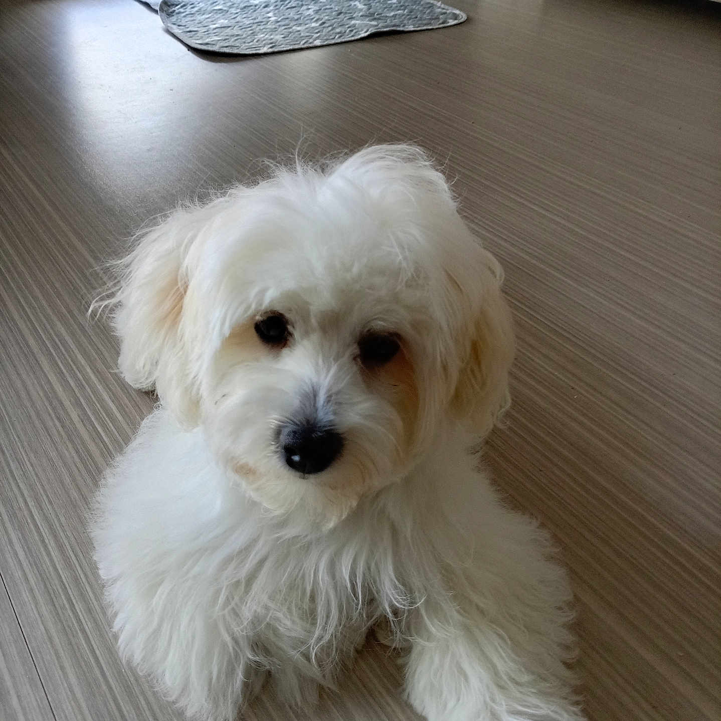 Charly