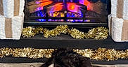 Elizabeth is registered to the contest to win money with this photo: cat, tabby_cat, fireplace, electric_fireplace, stone_hearth, decorations, holiday_decor, tinsel, garland, wrapped_gifts, cozy, indoor, pet, feline, fur, relaxing, warm, festive, black_brown_cat, eyes