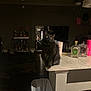 Booboo is registered to the contest to win money with this photo: cat, black_cat, indoor, kitchen_counter, shadow, living_room, mirror, television, bar_cart, bottles, paper_towel, trash_can, dark_wood_floor, curious_eyes, fluffy, pet, furniture, home_interior, lighting, night