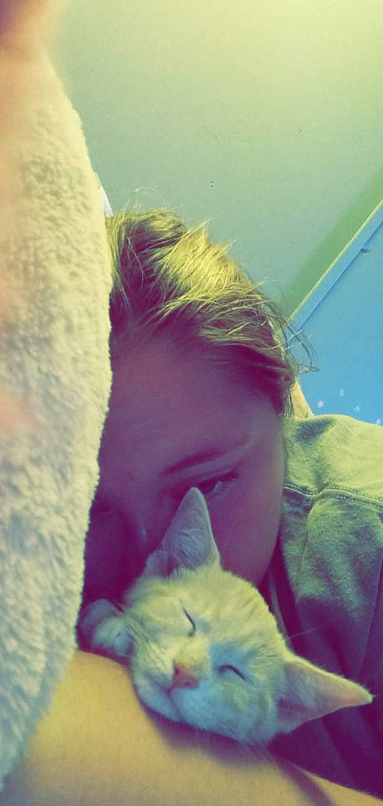 Ruffles is registered to the contest to win money with this photo: beard, carnivore, cat, cloud, comfort, companion_dog, domestic_short_haired_cat, electric_blue, eye, eyebrow, eyelash, felidae, fur, hand, happy, head, human_body, jaw, small_to_medium_sized_cats, whiskers