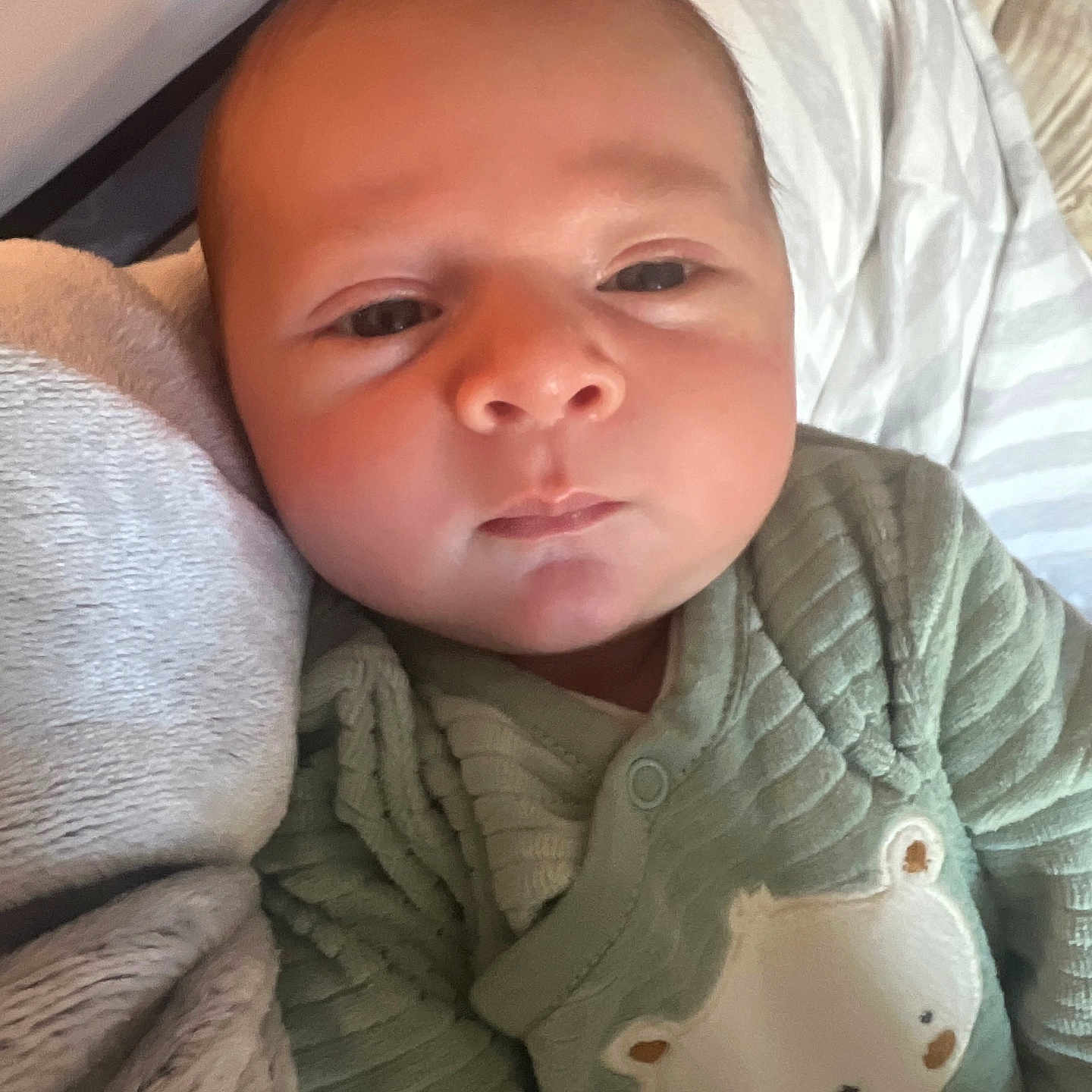 Roméo a rejoint le concours — aidez-le/la à gagner de superbes lots ! baby, infant, face, clothing, green_outfit, bear_design, blanket, pillow, striped, soft_texture, newborn, cute, sleepy, indoors, person, portrait, child, young, cozy, resting