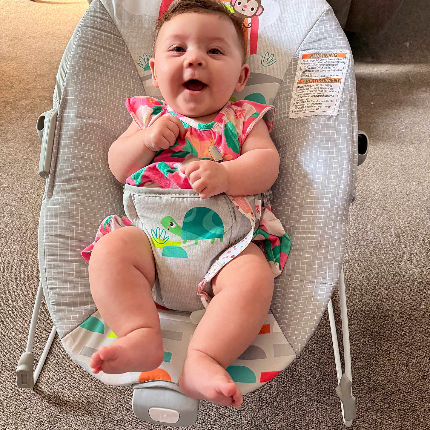 Elaina joined the competition — help win amazing prizes! baby, smiling, baby_rocker, floral_dress, carpet, furniture, indoor, child, happy, seatbelt, turtle_design, person, infant, cute, home, legs, hands, face, sitting, colorful