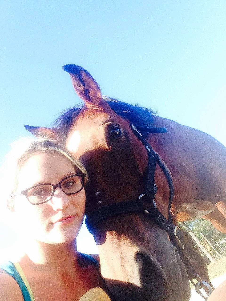 Mirlito participe au concours pour gagner de l'argent avec cette photo : bridle, cool, eyewear, glasses, hair, halter, head, horse, horse_supplies, horse_tack, liver, mane, mare, nose, person, photography, recreation, rein, sky, snout