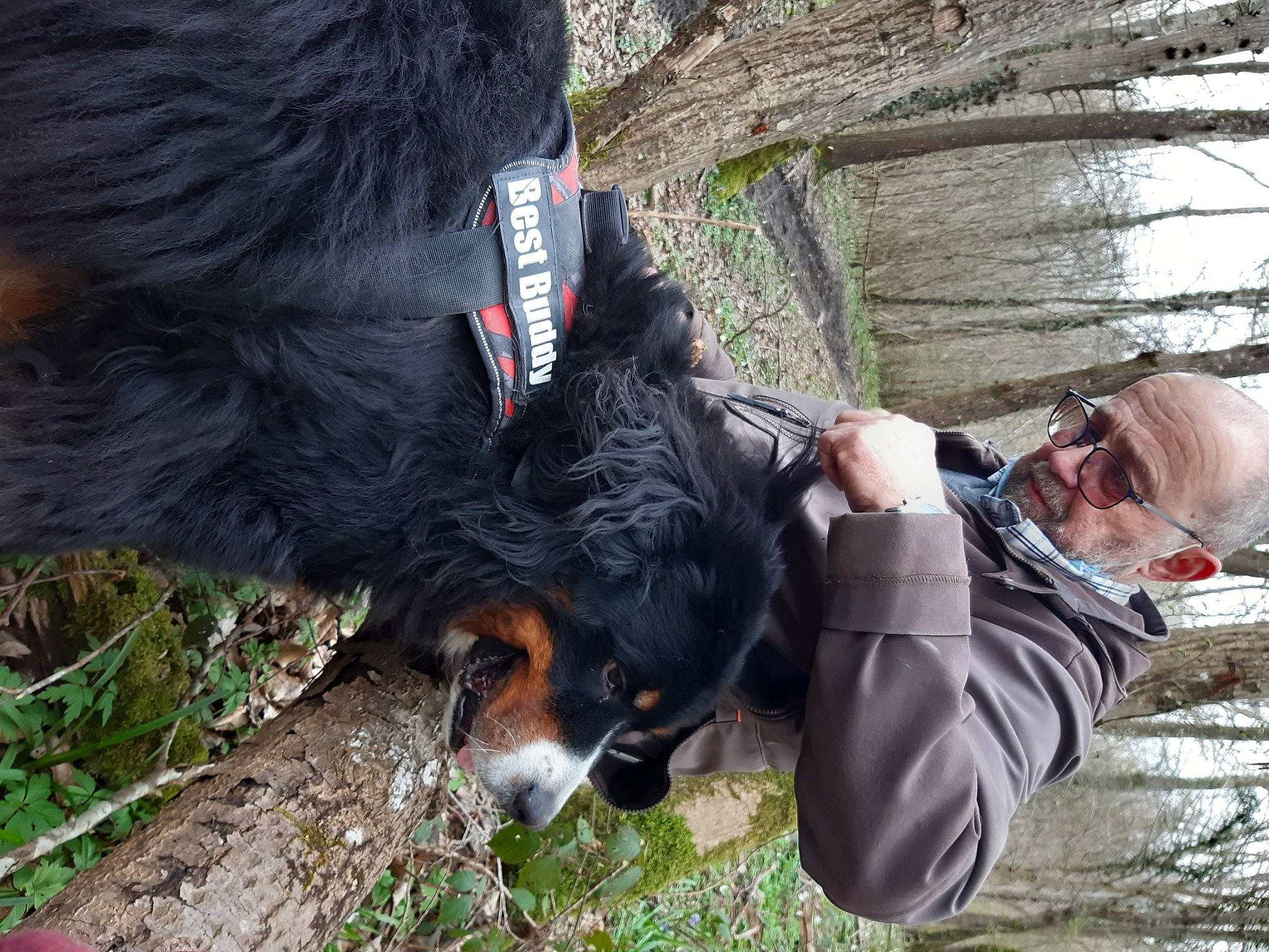 Hindy participe au concours pour gagner de l'argent avec cette photo : adventure, canidae, carnivore, claw, collar, companion_dog, dog, dog_breed, dog_collar, fur, grass, herding_dog, leash, plant, recreation, sporting_group, tail, tree, walking, working_animal