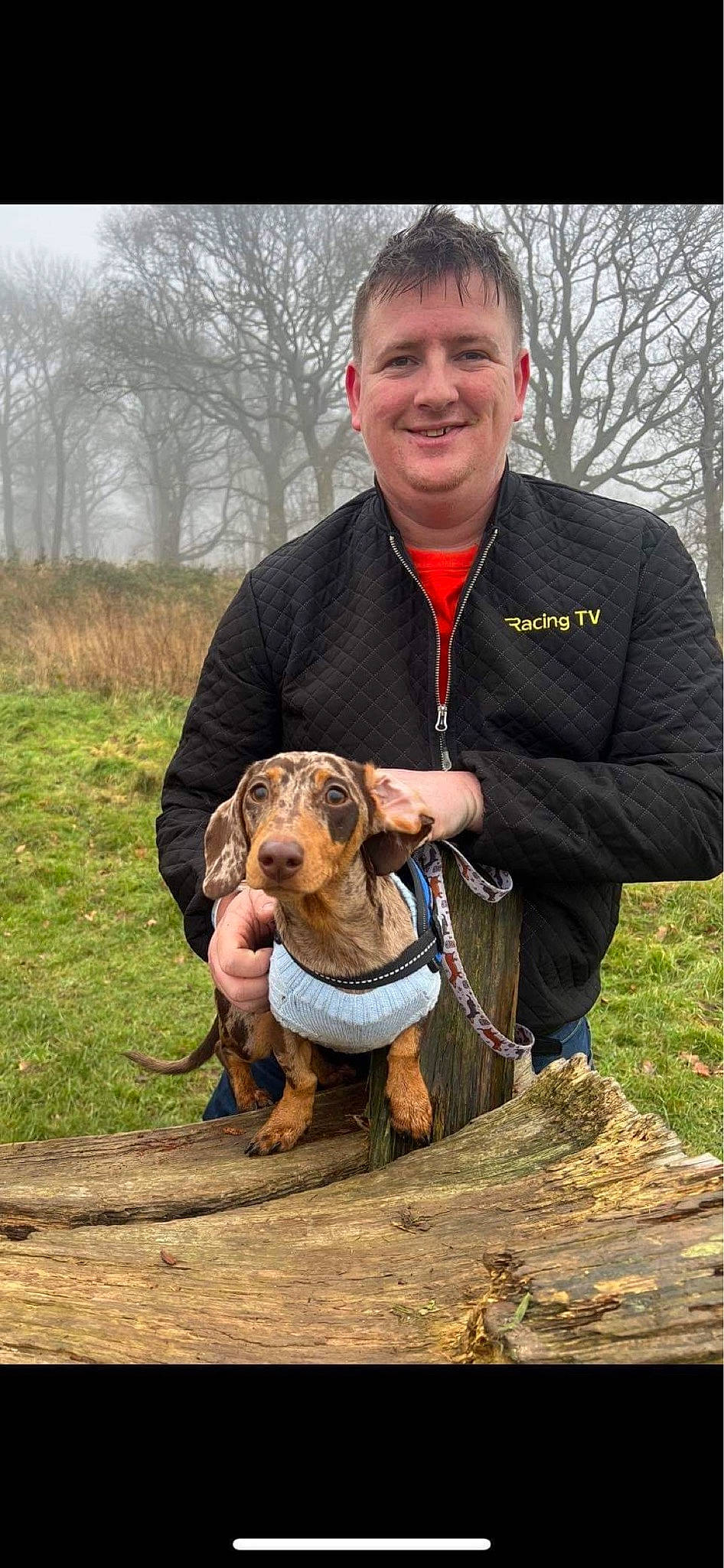 Dudley joined the competition — help win amazing prizes! carnivore, collar, companion_dog, dog, dog_breed, dog_collar, fawn, hound, leash, liver, pet_supply, plant, scent_hound, sky, smile, soil, sporting_group, tree, wildlife_biologist, working_animal