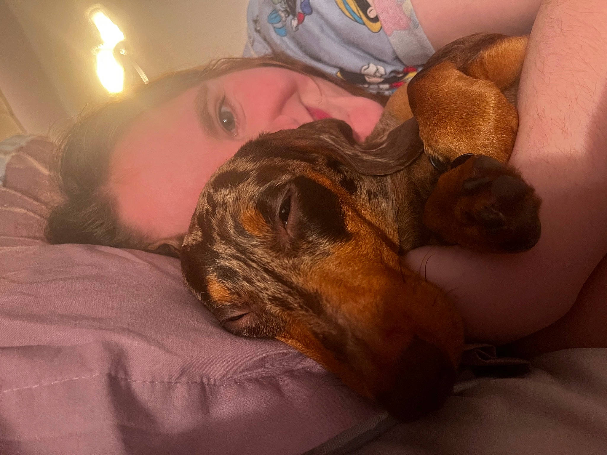 Dudley is registered to the contest to win money with this photo: abdomen, beard, bed, comfort, companion_dog, domestic_short_haired_cat, ear, facial_hair, fawn, felidae, fun, fur, human_body, human_leg, mouth, room, selfie, skin, small_to_medium_sized_cats, whiskers