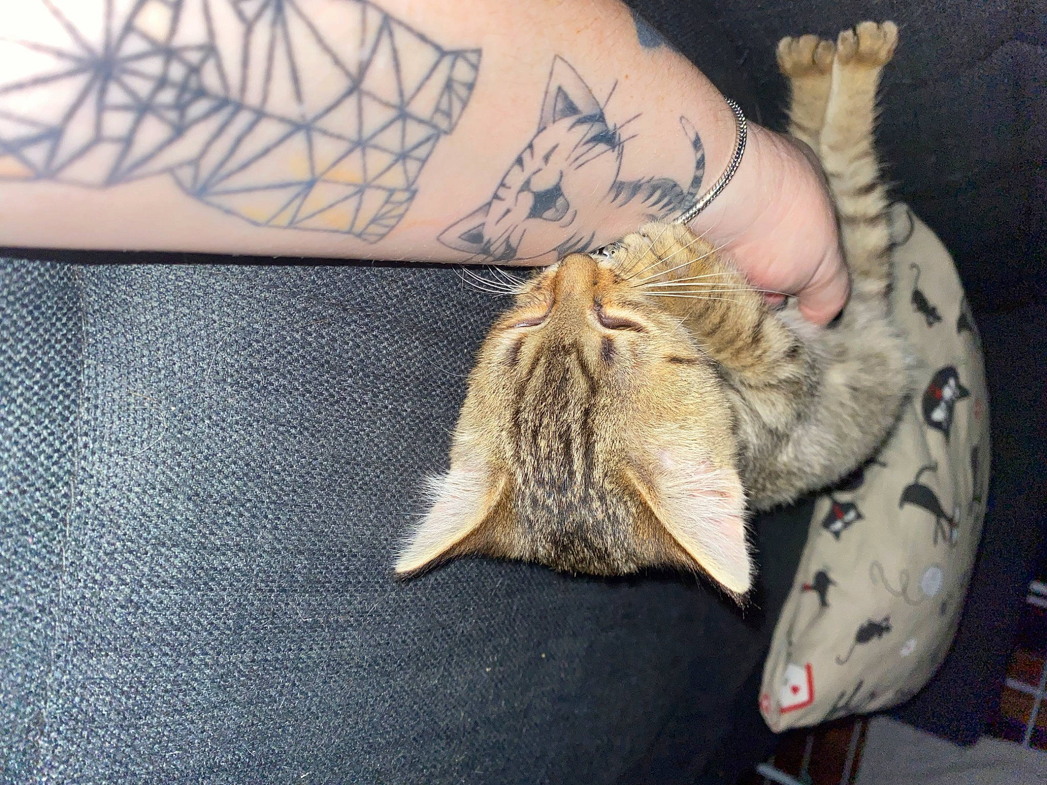 Floki participe au concours pour gagner de l'argent avec cette photo : cat, claw, denim, domestic_short_haired_cat, fashion_accessory, felidae, font, fur, human_leg, insect, linens, nail, pattern, paw, pollinator, small_to_medium_sized_cats, tattoo, temporary_tattoo, whiskers, wrist