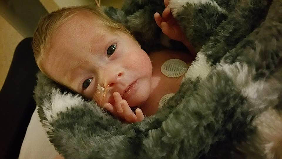 Bentley is registered to the contest to win money with this photo: boy, cheek, child, ear, finger, fur, human, infant, mouth, nose, person, toddler