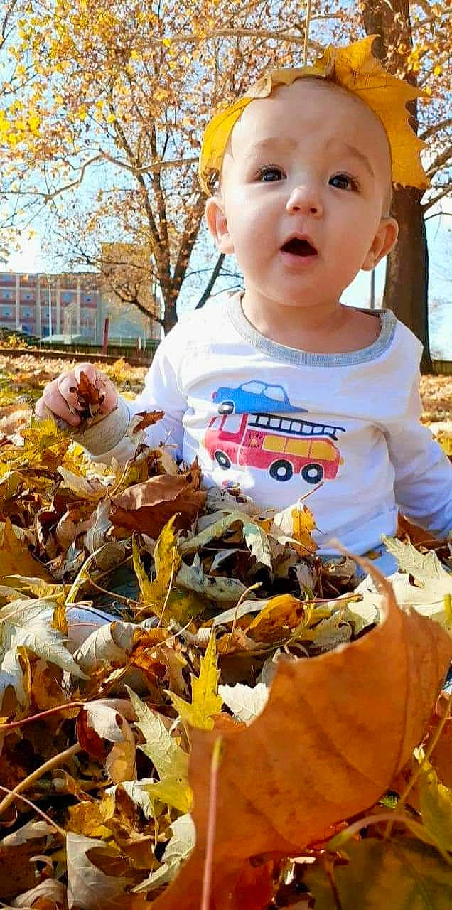 Alex joined the competition — help win amazing prizes! autumn, baby, baby_toddler_clothing, building, child, deciduous, eye, grass, happy, leaf, local_food, people, people_in_nature, person, plant, sky, spring, surprise, t_shirt, toddler