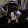 Dottie