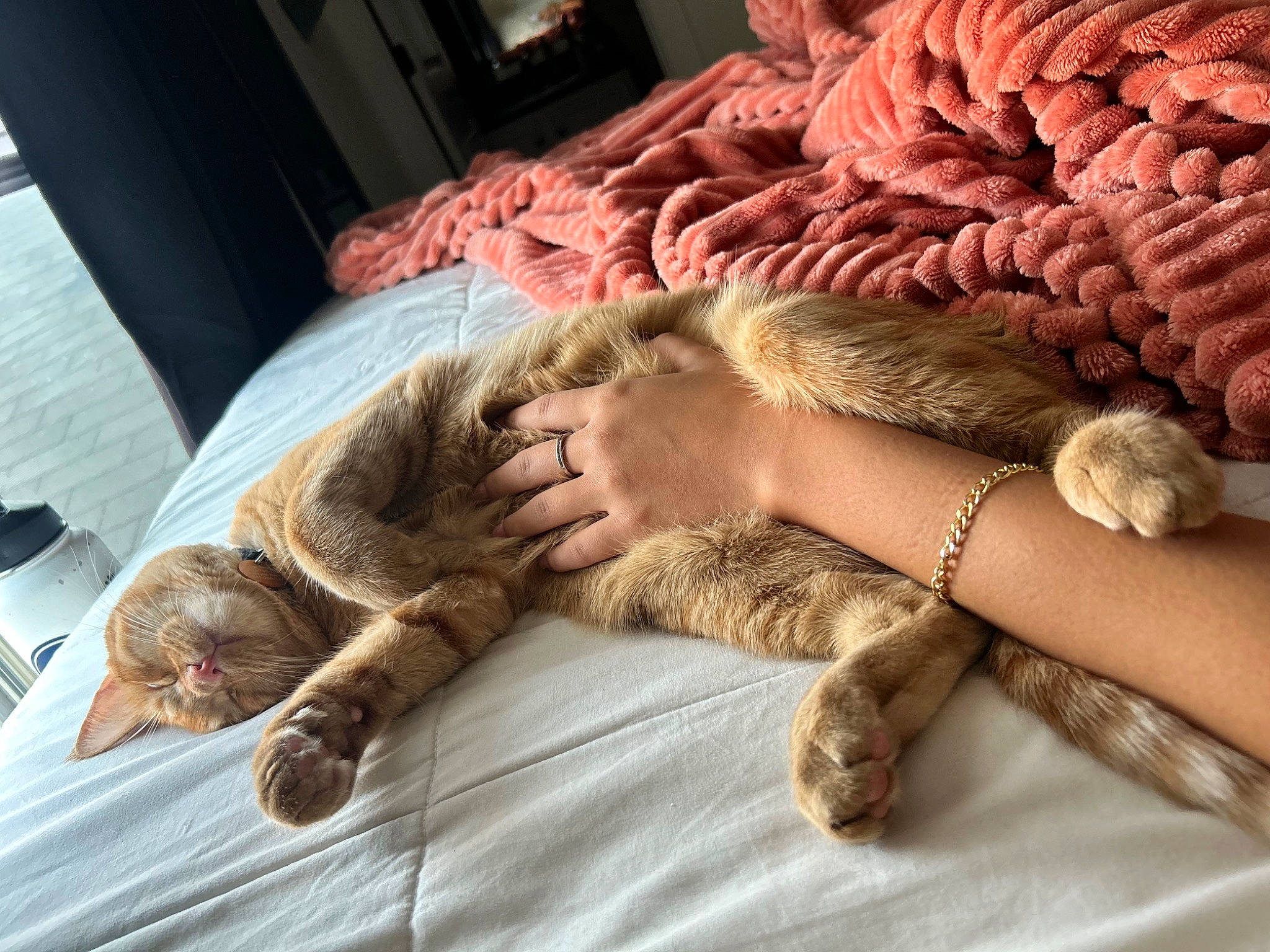 Cece is registered to the contest to win money with this photo: art, bedding, carnivore, cat, comfort, fawn, felidae, finger, foot, fur, gesture, human_leg, linens, nail, pattern, small_to_medium_sized_cats, thigh, whiskers, wood, wrist