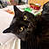 Leroy