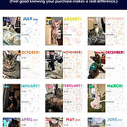 Leroy joined the competition — help win amazing prizes! advertisement, animal, banner, calendar, calendar_page, cat, colorful, cute, feline, fundraising, grid, indoor, month, pet, photo_collection, portrait, promotion, support, text, website_screenshot