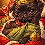adorable, crown, cute, digital_art, dog, fur_trim, green, illustration, jewelry, jewels, orb, portrait, pug, puppy, red, robe, royal, scepter, throne, velvet