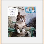 Killer a rejoint le concours — aidez-le/la à gagner de superbes lots ! cat, tabby, green_eyes, chair, vintage_furniture, indoor, wall_art, rainbow_drawing, speech_bubble, thoughtful, cute, pet, animal, feline, whiskers, paws, striped, face, sitting, mischievous