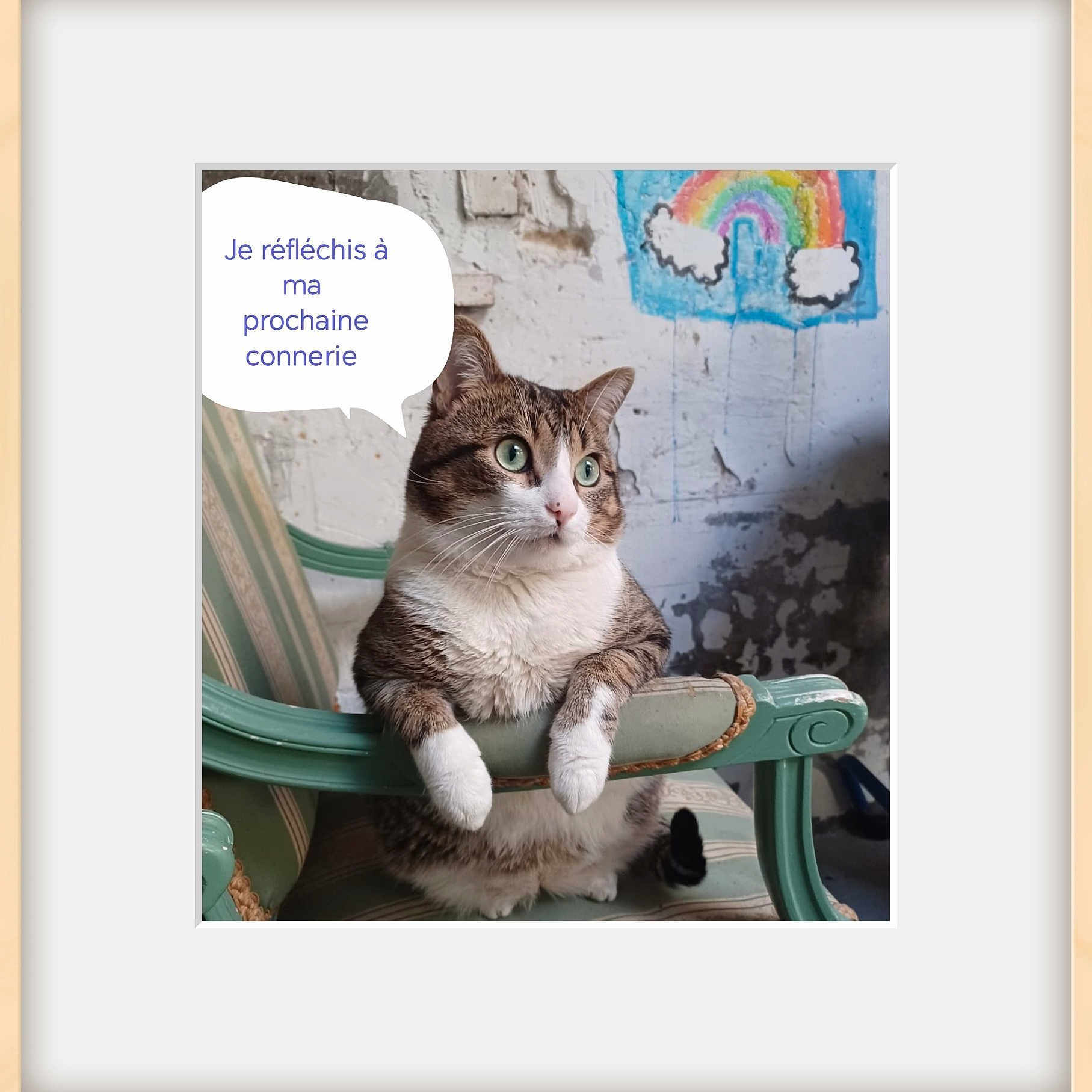 Killer a rejoint le concours — aidez-le/la à gagner de superbes lots ! cat, tabby, green_eyes, chair, vintage_furniture, indoor, wall_art, rainbow_drawing, speech_bubble, thoughtful, cute, pet, animal, feline, whiskers, paws, striped, face, sitting, mischievous