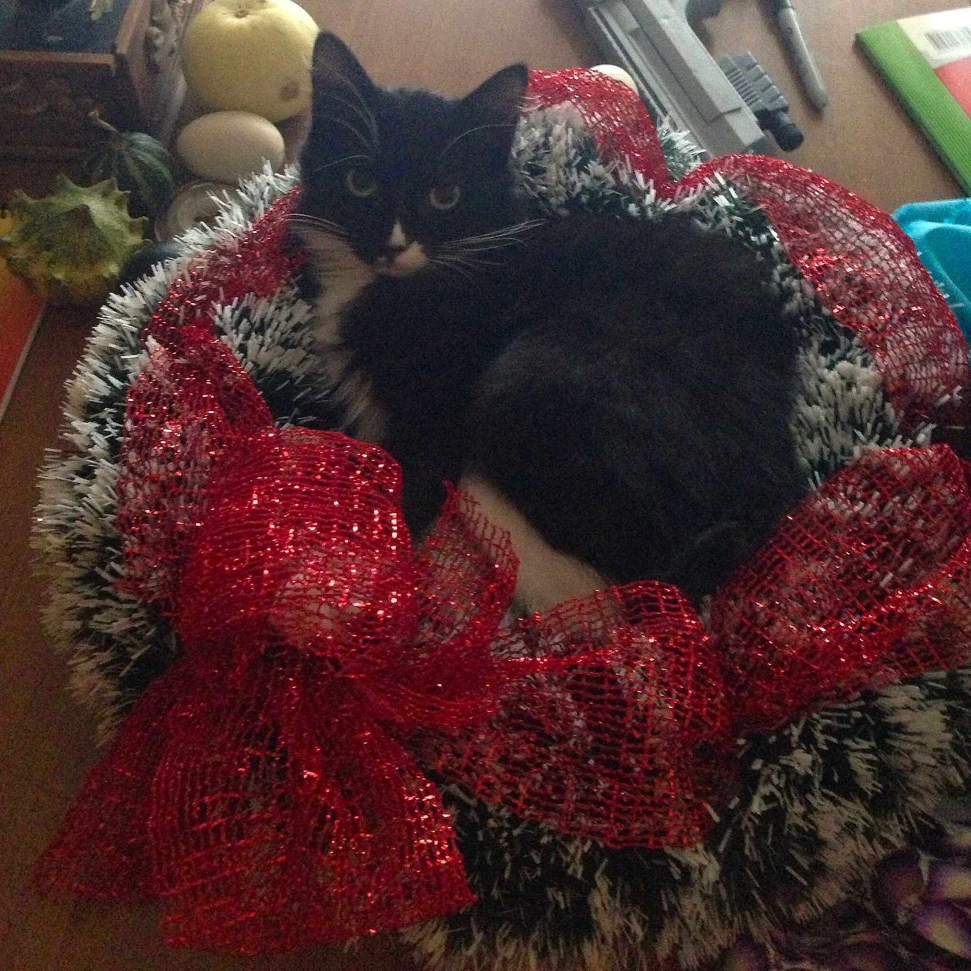 Figaro