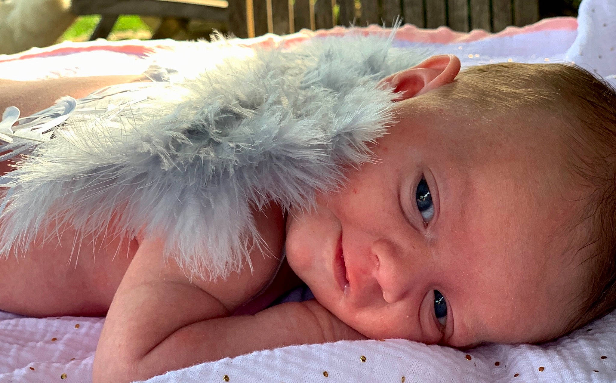 Capucine a rejoint le concours — aidez-le/la à gagner de superbes lots ! baby, cap, cheek, child, comfort, ear, eye, eyebrow, eyelash, fashion_accessory, fur, grass, happy, hat, iris, lip, nose, person, skin, toddler