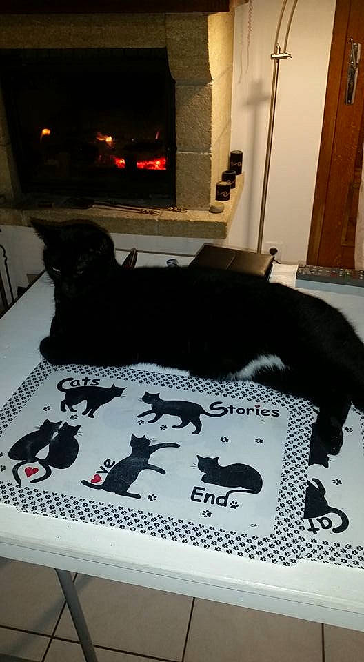 Hadés participe au concours pour gagner de l'argent avec cette photo : bed, bed_sheet, canidae, furniture, linens, non_sporting_group, stencil